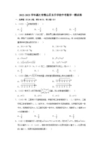 2023年广东省湛江市霞山区东升学校中考数学一模试卷 (含答案)