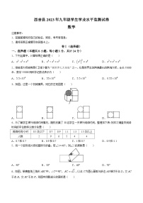 2023年宁夏回族自治区固原市西吉县中考一模数学试题 (含答案)