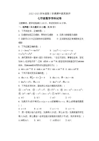 安徽省宣城市宁国市三校2022-2023学年七年级下学期期中考试数学试题