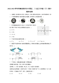 2022-2023学年河南省郑州市中原区、二七区八年级（下）期中数学试卷（含解析）