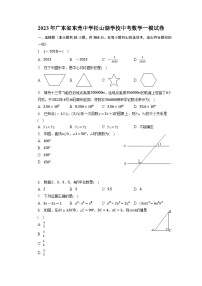 2023年广东省东莞中学松山湖学校中考数学一模试卷