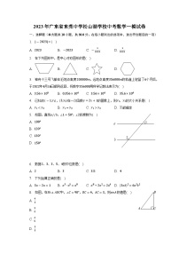 2023年广东省东莞中学松山湖学校中考数学一模试卷（含答案）