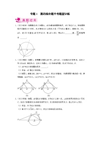 2023年中考数学二轮专题训练： 圆的综合题（含解析）