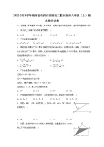 2022-2023学年湖南省株洲市茶陵县三校创新体八年级（上）期末数学试卷（含解析）