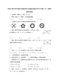 2022-2023学年浙江省杭州市下城区采荷中学八年级（下）期中数学试卷（含解析）