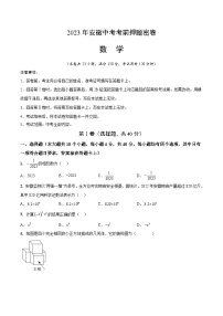 2023年中考考前押题密卷：数学（安徽卷）（考试版）A4