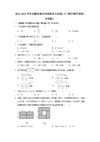 安徽省亳州市涡阳县2022—2023学年下学期七年级数学期中调研卷