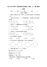 广东省深圳市罗湖区2022-2023学年下学期八年级期中数学试卷