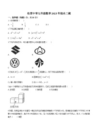 2023年黑龙江省哈尔滨市松雷中学中考二模数学试题(含答案)