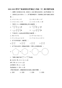 2022-2023学年广东省深圳市罗湖区八年级（下）期中数学试卷(含解析）