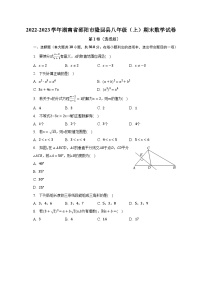 2022-2023学年湖南省邵阳市隆回县八年级（上）期末数学试卷(含解析）