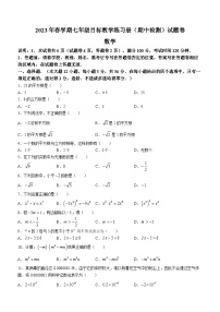 广西壮族自治区梧州市2022-2023学年七年级下学期期中数学试题（含答案）