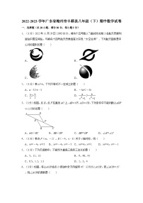 广东省梅州市丰顺县2022-2023学年八年级下学期期中数学试卷（含答案）