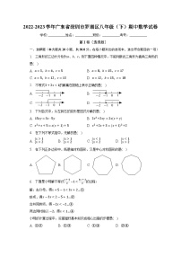 广东省深圳市罗湖区2022-2023学年下学期八年级期中数学试卷（含答案）