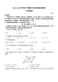 山东省临沂市兰山区2022-2023学年八年级下学期期中数学试题（含答案）