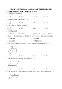 四川省广安市岳池县2022-2023学年八年级下学期数学期中试题（含答案）