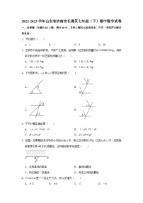 2022-2023学年山东省济南市长清区七年级（下）期中数学试卷（含解析）