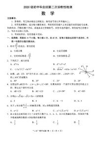 四川南充2023年中考二诊数学试卷