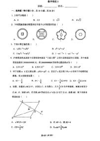 2023深圳市南山区第二外国语学校九下模拟考试数学试卷