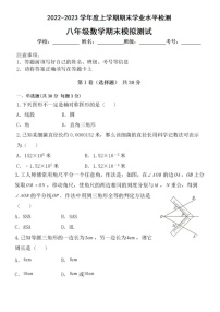 2023年八年级上数学期末模拟试题（无答案）