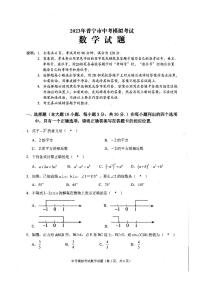2023年广东省普宁市中考模拟考试数学试题