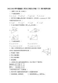 2022-2023学年福建省三明市大田县七年级（下）期中数学试卷（含解析）