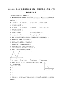 2022-2023学年广东省深圳市宝安第一外国语学校七年级（下）期中数学试卷（含解析）