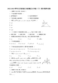 2022-2023学年江苏省宿迁市宿豫区七年级（下）期中数学试卷（含解析）