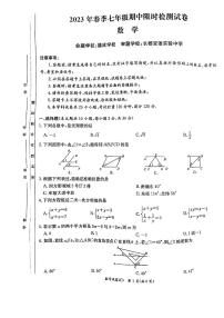 2022-2023学年长郡集团七年级下学期期中考试数学试卷及参考答案