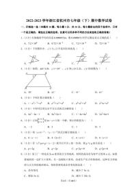 2022-2023学年浙江省杭州市七年级下学期期中数学模拟试卷及答案解析