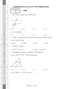 江苏省南京市联合体2021-2022学年七年级下学期期中数学试题（含答案）