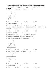 江苏省南京市联合体2021-2022学年七年级下学期期中数学试题【含答案】