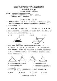 江苏省泰州市兴化市2022-2023学年七年级下学期期中数学试题