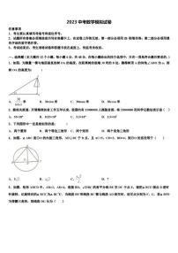 《2023年江苏省盐城市东台中考数学模拟试题含解析及点睛》