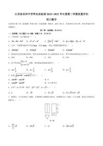 2023年江苏省苏州中学伟长实验部年九年级下学期质量评估数学试题(含答案)