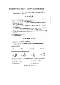 湖北武汉市2023届初三4月调研考试(四调)数学试题(含答案)