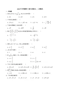 2023年中考数学二轮专项练习:二次根式(含答案)