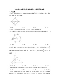 2023年中考数学二轮专项练习：三角形的综合题(含答案)