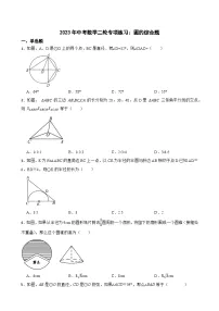 2023年中考数学二轮专项练习:圆的综合题(含答案)
