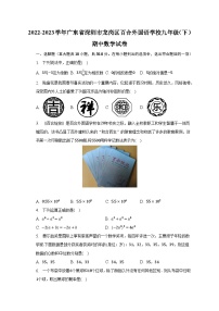 2022-2023学年广东省深圳市龙岗区百合外国语学校九年级（下）期中数学试卷（含解析）