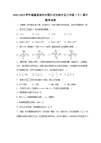 2022-2023学年福建省泉州市晋江市安海片区八年级（下）期中数学试卷（含解析）