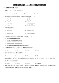 江苏省苏州市2023年中考数学模拟卷（含答案）