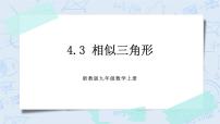 初中数学浙教版九年级上册4.3 相似三角形获奖课件ppt