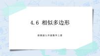 浙教版九年级上册4.6 相似多边形优秀ppt课件