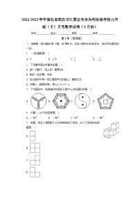 湖北省武汉市光谷为明实验学校2022-2023学年九年级下学期3月数学月考试题+