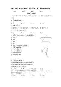 天津市河北区2022-2023学年七年级下学期期中数学试卷+