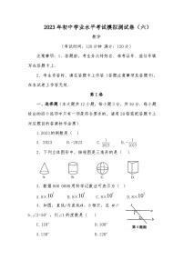 2023年初中学业水平考试模拟测试卷（六）数学