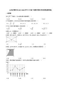 山东省德州市2017-2018学年八年级下册数学期末考试试卷（解析版）