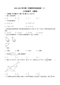 2023年安徽省合肥市包河区中考二模数学试卷（含答案）