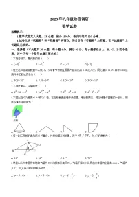 2023年安徽省合肥市庐阳区中考二模数学试题(含答案)